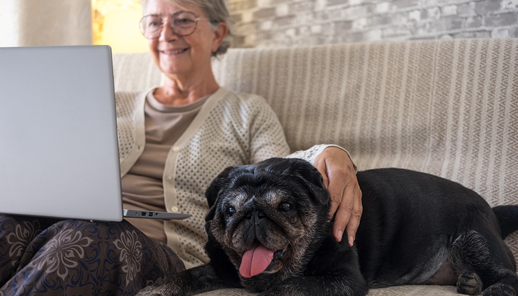 Photo of Senior Woman on Laptop With Senior Dog